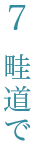 7 畦道で