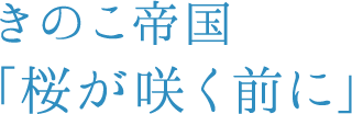 きのこ帝国 「桜が咲く前に」